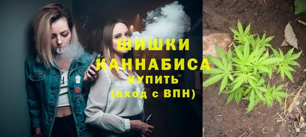 альфа пвп Горно-Алтайск
