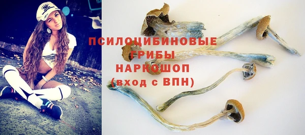 прущий лед Горняк