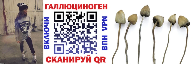 Галлюциногенные грибы мицелий  Купить где  Козельск 