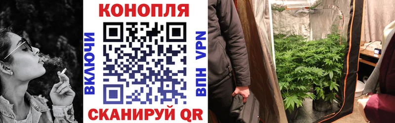 Купить закладки  Козельск  Каннабис сатива 